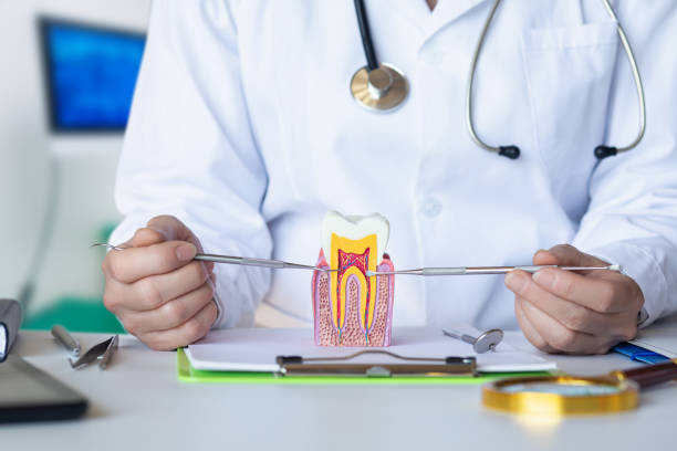 Best Emergency Cosmetic Dentistry in Twin Rivers, NJ